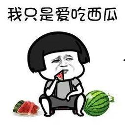 娱乐吃瓜酱考研,考研之路不再孤单