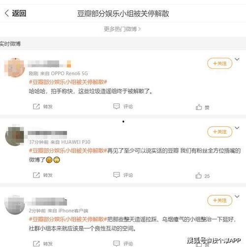 娱乐饭圈吃瓜直播视频