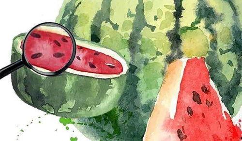 娱乐吃瓜场地是什么