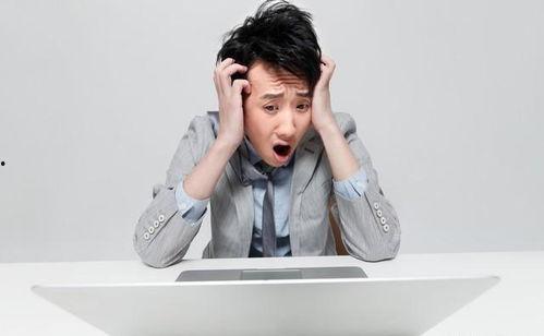 娱乐圈吃瓜文具有哪些小说,从吃瓜文到小说的奇幻之旅